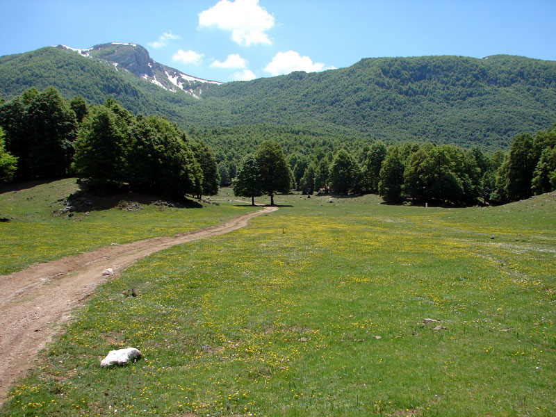 cammino naturale dei parchi