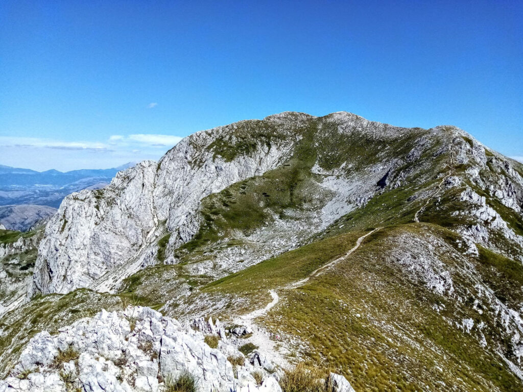 Terminillo