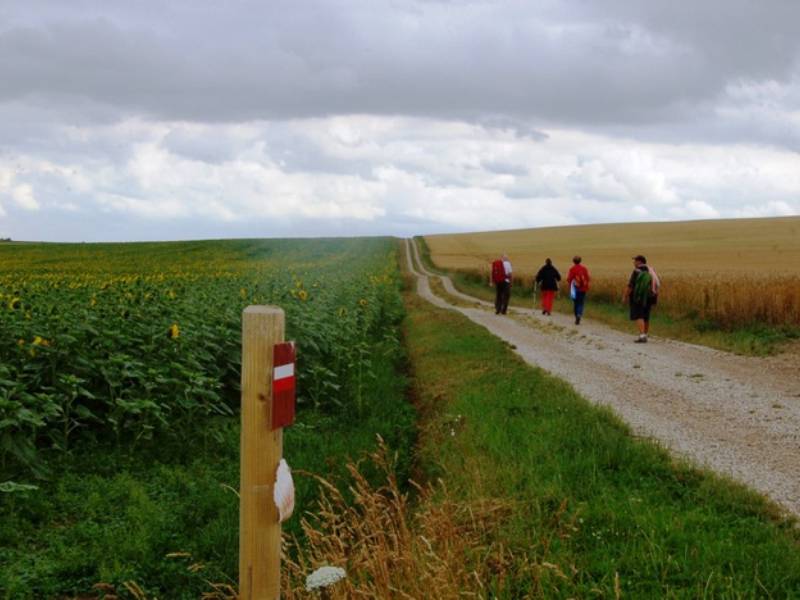 via francigena francia