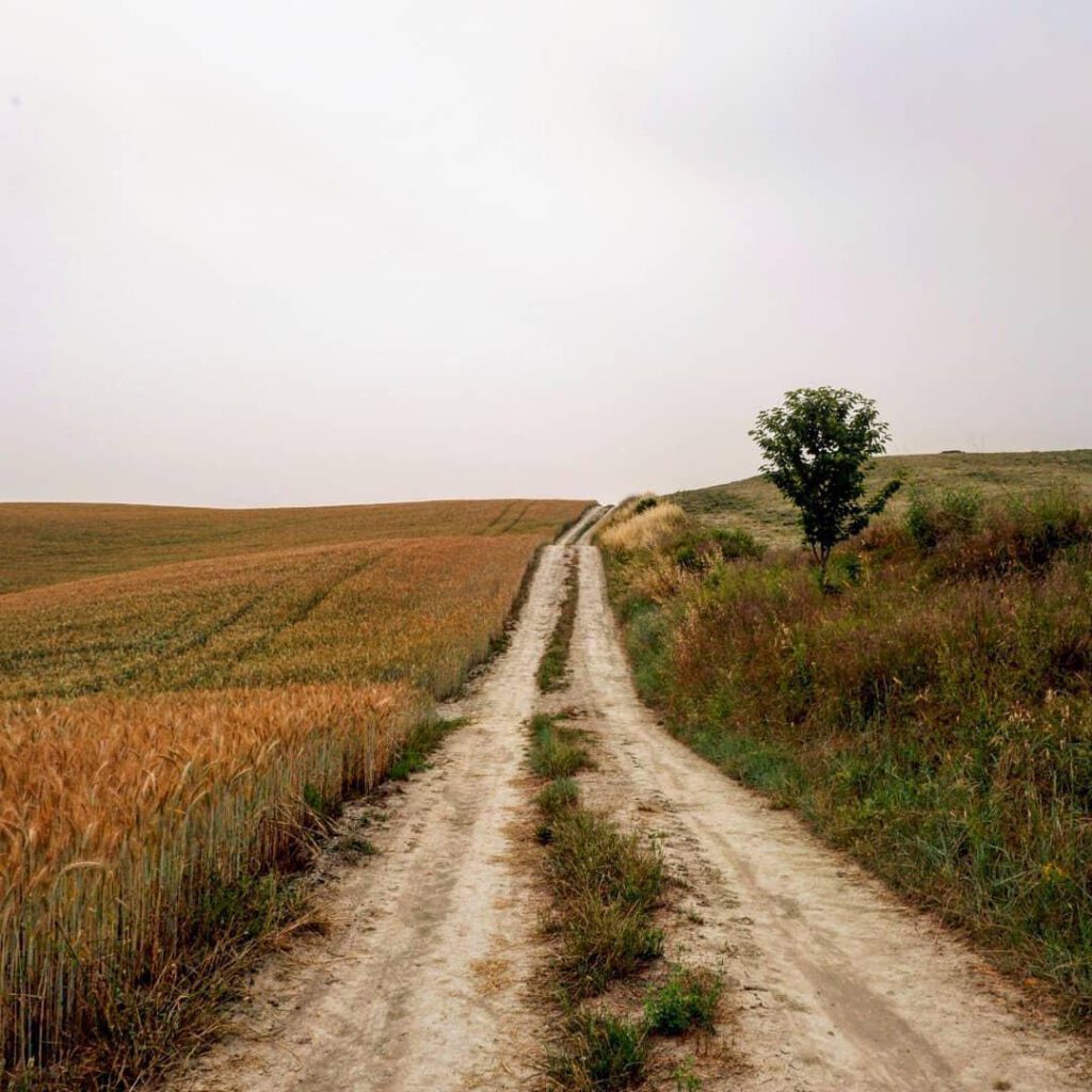 Via Francigena