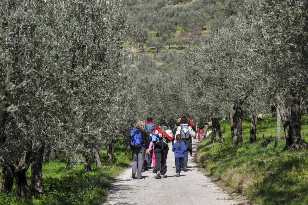 Cammino Francescano della Marca