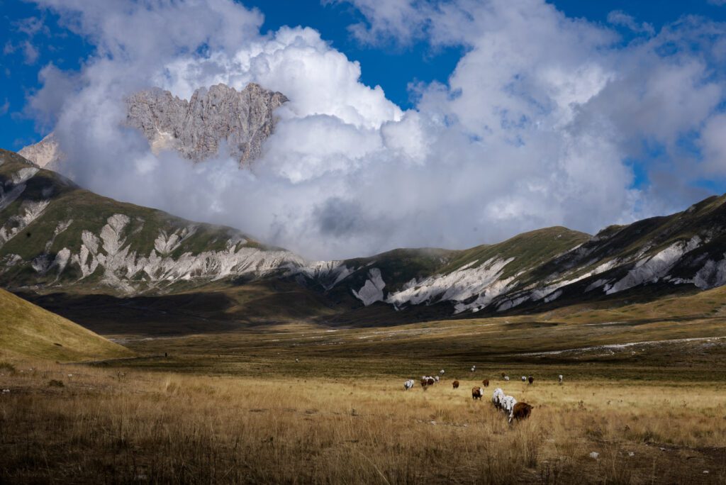 Diario Cammino del Gran Sasso