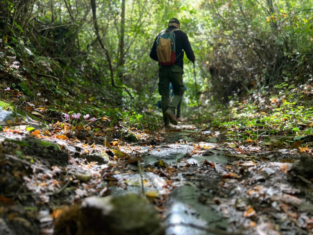 Nasce il Cammino di Larth