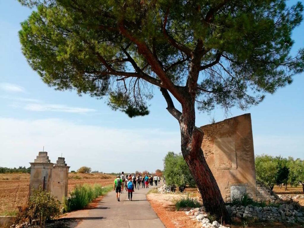 Cammino di Don Tonino Bello