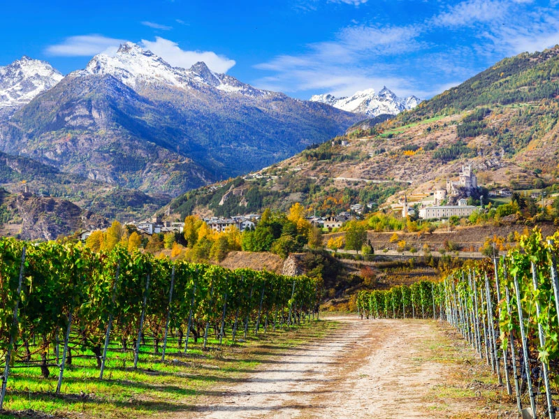 vini valle d'aosta